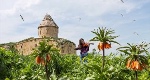 Van'da fotoğraf tutkunları ilkbaharda renklenen Çarpanak Adası'nı görüntüledi