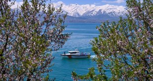 "Van Gölü'nün incisi" üreme döneminde güvenlik güçlerine emanet