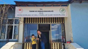 Muşlu çocuk bulduğu yavru kulaklı baykuşun hayatını kurtardı