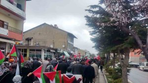 Ahlat'ta Filistin için yürüyüş düzenlendi