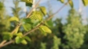 Doğu'nun ilk bağımsız denetim şirketi Erzurum'da kuruldu