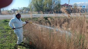 Iğdır belediyesinden sivrisinek ve haşerelere karşı ilaçlama