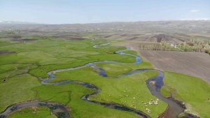 Kars'taki mendereslerde bahar güzelliği
