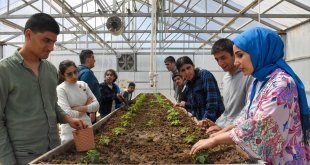 Özel gereksinimli öğrenciler serada sebze yetiştiriyor