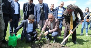 Türküden ilham alınarak Kağızman'a nar bahçesi kuruldu