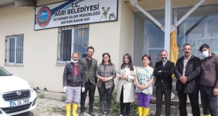 Terk Edilen Hayvan Bakım Evini Yeniliyoruz