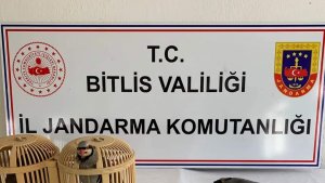 Bitlis'te keklik avlayan 2 kişiye 26 bin 635 lira para cezası uygulanacak
