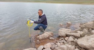Van'da göletlerdeki balık ölümlerinin nedeni araştırılıyor