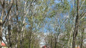 Ağrı Milli Eğitim Müdürü Kökrek, öğretmenlerle buluştu, "Türkiye Yüzyılı Maarif Modeli"ni anlattı