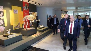 Bu müzede 250 bin böcek ve 20 bin kurutulmuş bitki örneği sergileniyor