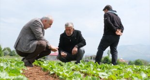 Malatya Tarım ve Orman İl Müdürü Akar, Doğanşehir'de incelemelerde bulundu