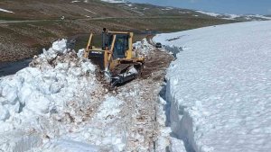 'Kar Kaplanları' bahar ayında kar temizliğinde