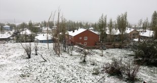 Van'ın Başkale ilçesinde kar etkili oldu