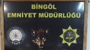 Bingöl Havalimanında valizler içerisinde uyuşturucu madde ele geçirildi