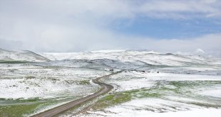 Ağrı'ın yüksek kesimleri yeniden karla kaplandı
