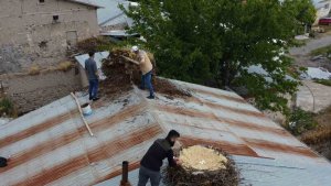 Tunceli'de örnek davranış: Hasarlı binaların çatılarındaki leylek yuvaları güvenli yere taşındı