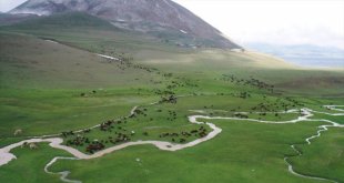 Ağrı'da çobanlar zorlu mesailerine bir yanı kar, bir yanı bahar dağlarda başladı