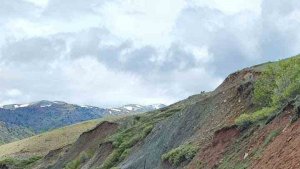 Jandarma ekibi tilkiyi elleri ile besledi