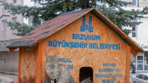 Sekmen; "Her can bize emanet"