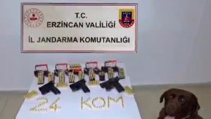 Erzincan'da silah kaçakçısı 1 kişi yakalandı