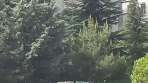 İşini aşkla yapan çöpçüden 'Rock yıldızını' aratmayacak görüntü