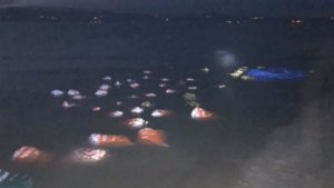 Van'da 3 ton kaçak avlanmış balık ele geçirildi