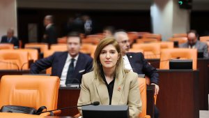 Milletvekili Ölmeztoprak'tan İsraile tepki