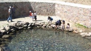 Erzurum Düşünce Hareketi 'Dumlubaba'ya dikkat çekti