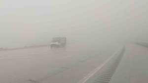 Van'ın Kurubaş Geçidi'nde yoğun sis etkili oldu