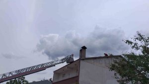 Cami kubbesindeki leylek yuvası, yıkım nedeniyle taşındı