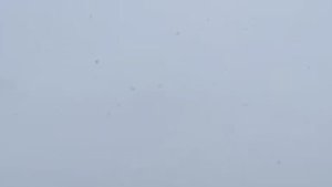 Ardahan'ın yüksek kesimlerinde kar ve sis etkili oldu