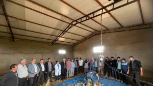 Küçükbaş hayvanlarda kırkımlar başladı