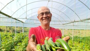 Emekli oldu kendi imkanlarıyla sera kurdu, üretime başladı ama çalıştıracak eleman bulamıyor