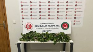 İran uyruklu 6 kişiye biyoçeşitliliği tahripten toplam 2 milyon 322 bin 846 lira ceza