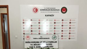 İran uyruklu 1 kişiye biyoçeşitliliği tahripten toplam 387 bin 141 lira ceza verildi