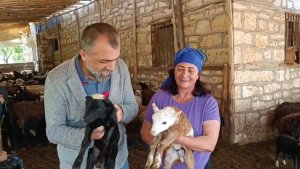 10 koyunla başladı, şimdi kendi işinin patronu oldu