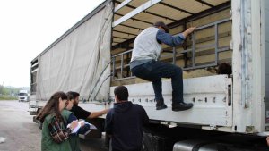 Erzincan'da kurbanlık sevkine sıkı denetim