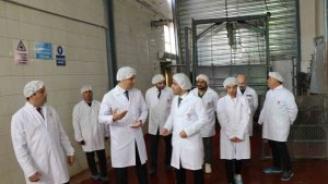 Ağrı'da kesimhanelerde denetim yapıldı