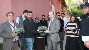 Başkale'de domates fidesi dağıtıldı