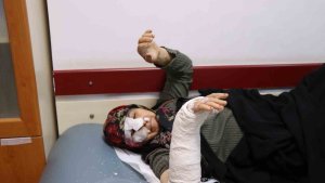 Oltu'da sokak köpekleri dehşet saçtı