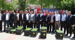 Güroymak'ta 21 bin sebze fidesi dağıtıldı
