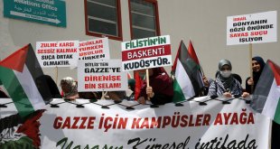 İsrail'in Gazze'ye yönelik saldırıları Bitlis'te protesto edildi