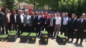 Güroymak'ta yüzde 75 hibeli 21 bin fide dağıtıldı