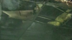 Bingöl'de işçilerin kaldığı konteynerde yangın: 1 ölü, 1 yaralı