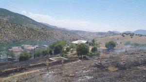 Elazığ'da ot yangını