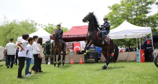 Van'da "11. Uluslararası İnci Kefali Göçü Kültür ve Sanat Festivali" başladı
