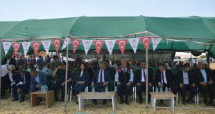 Malatya'da yılın ilk buğday hasadı yapıldı