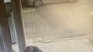 Gözüne kestirdiği çiçeği saksısıyla birlikte saniyeler içerisinde götürdü