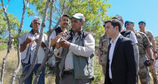 Bingöl'de 3 bin menengiç ağacına fıstık aşısı yapıldı