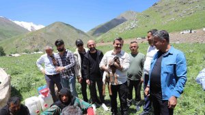 Kazan Vadisi'nde foto safari hazırlığı